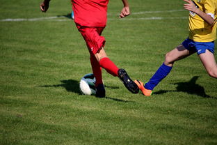 开云·Kaiyun网页版-仰泳项目美队稳住阵脚,仰泳的比赛视频